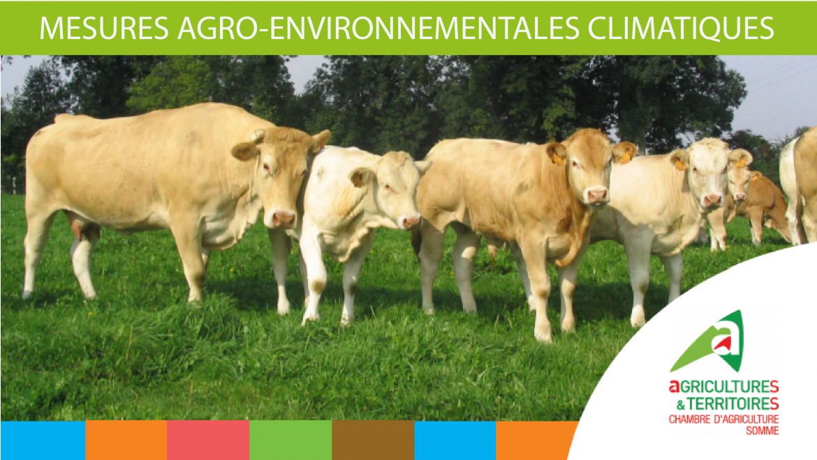 Exploitant agricole : Saisissez l’opportunité des MAEC