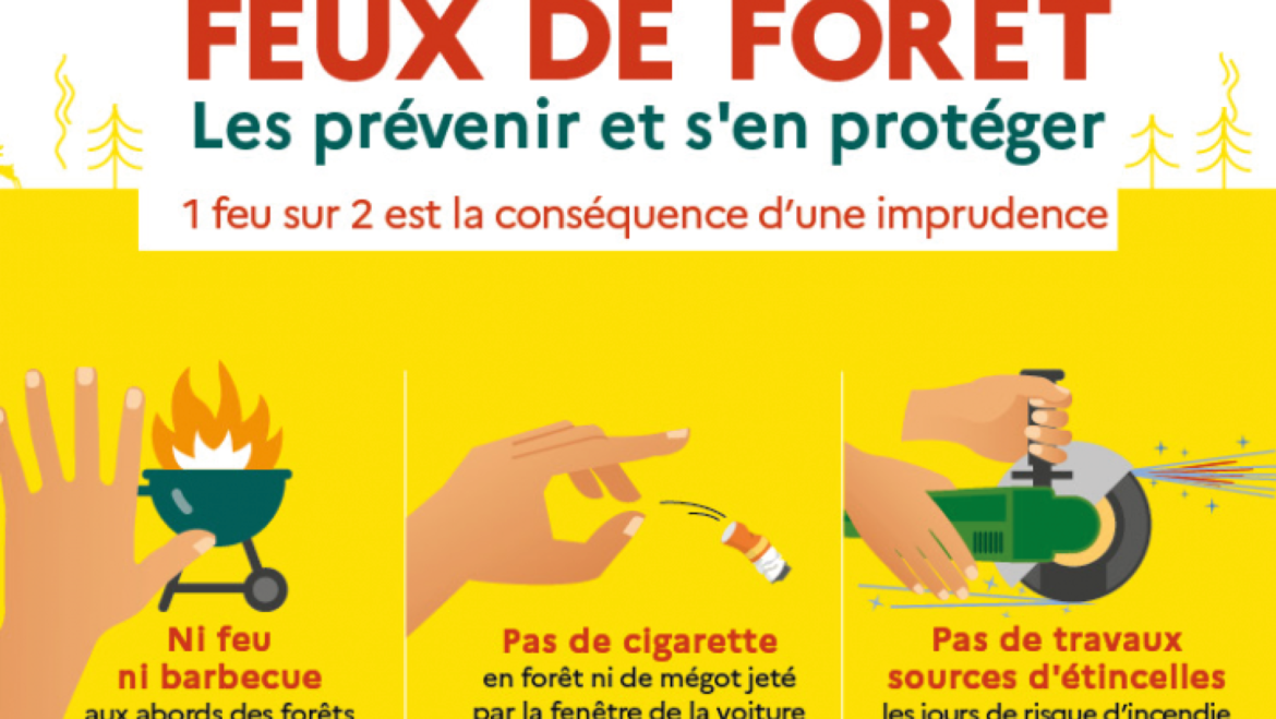 Risque de feu de forêt élevé